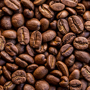 Gough Gmbh Material zur Förderung Kaffee